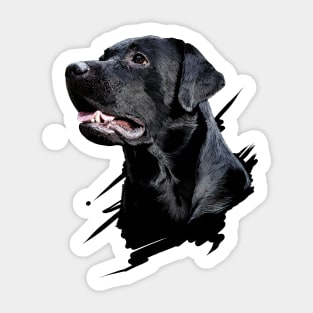 Labrador Sticker